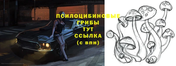 круглые Арсеньев